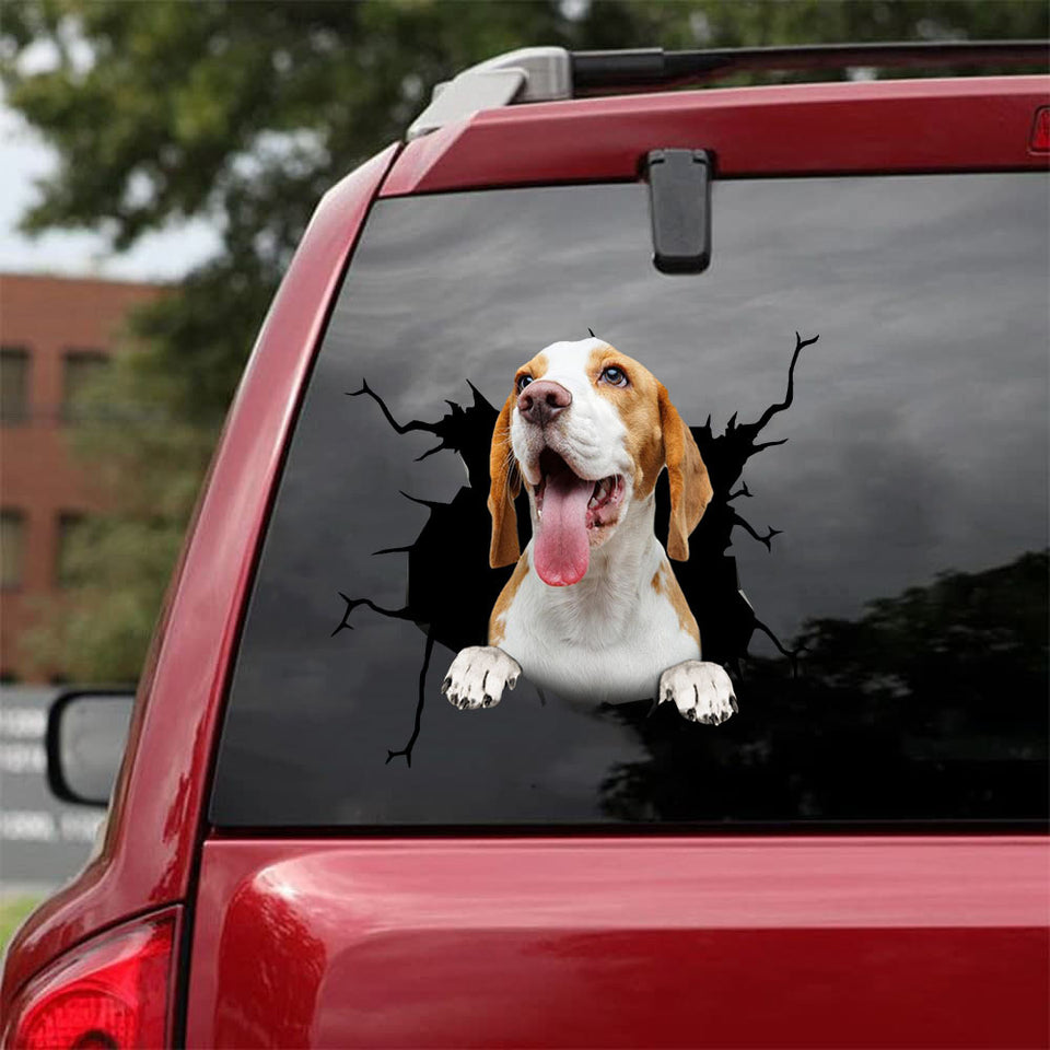 [da0193-snf-tnt]-beagle-crack-car-sticker-dogs-lover