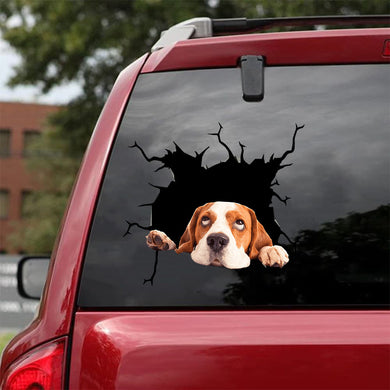[da0197-snf-tnt]-beagle-crack-car-sticker-dogs-lover