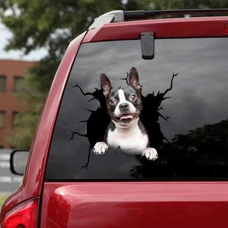 [da0201-snf-tnt]-boston-terrier-crack-car-sticker-dogs-lover