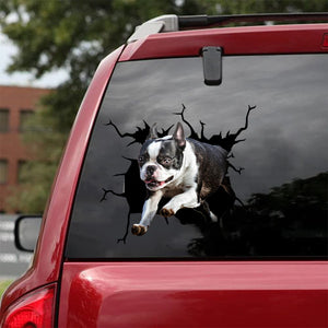 [da0200-snf-tnt]-boston-terrier-crack-car-sticker-dogs-lover