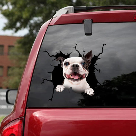 [da0202-snf-tnt]-boston-terrier-crack-car-sticker-dogs-lover