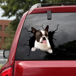 [da0203-snf-tnt]-boston-terrier-crack-car-sticker-dogs-lover