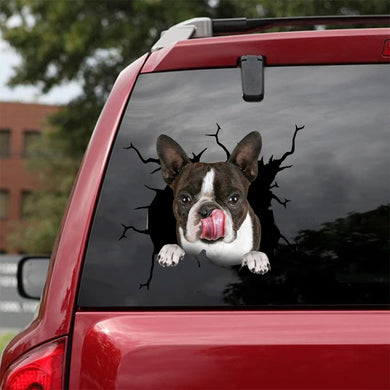 [da0204-snf-tnt]-boston-terrier-crack-car-sticker-dogs-lover