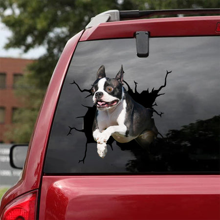 [da0205-snf-tnt]-boston-terrier-crack-car-sticker-dogs-lover