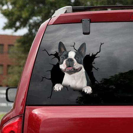 [da0206-snf-tnt]-boston-terrier-crack-car-sticker-dogs-lover
