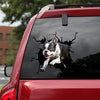 [da0200-snf-tnt]-boston-terrier-crack-car-sticker-dogs-lover