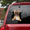 [da0229-snf-tnt]-french-bulldog-crack-car-sticker-dogs-lover