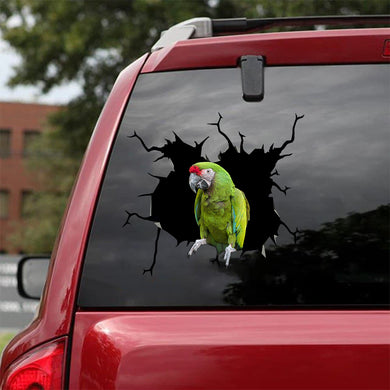 [bv0118-snf-tnt]-military-macaw-parrot-crack-car-sticker-birds-lover