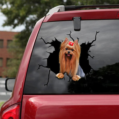 [sk1482-snf-lad]-yorkshire-crack-sticker-dogs-lover