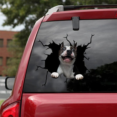 [sk1599-snf-tnt]-american-staffordshire-terrier-crack-car-sticker-dogs-lover
