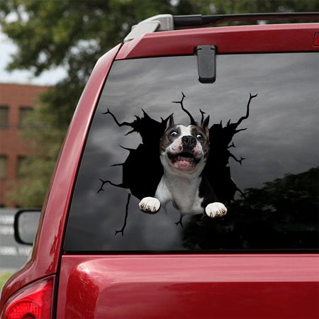 [sk1599-snf-tnt]-american-staffordshire-terrier-crack-car-sticker-dogs-lover