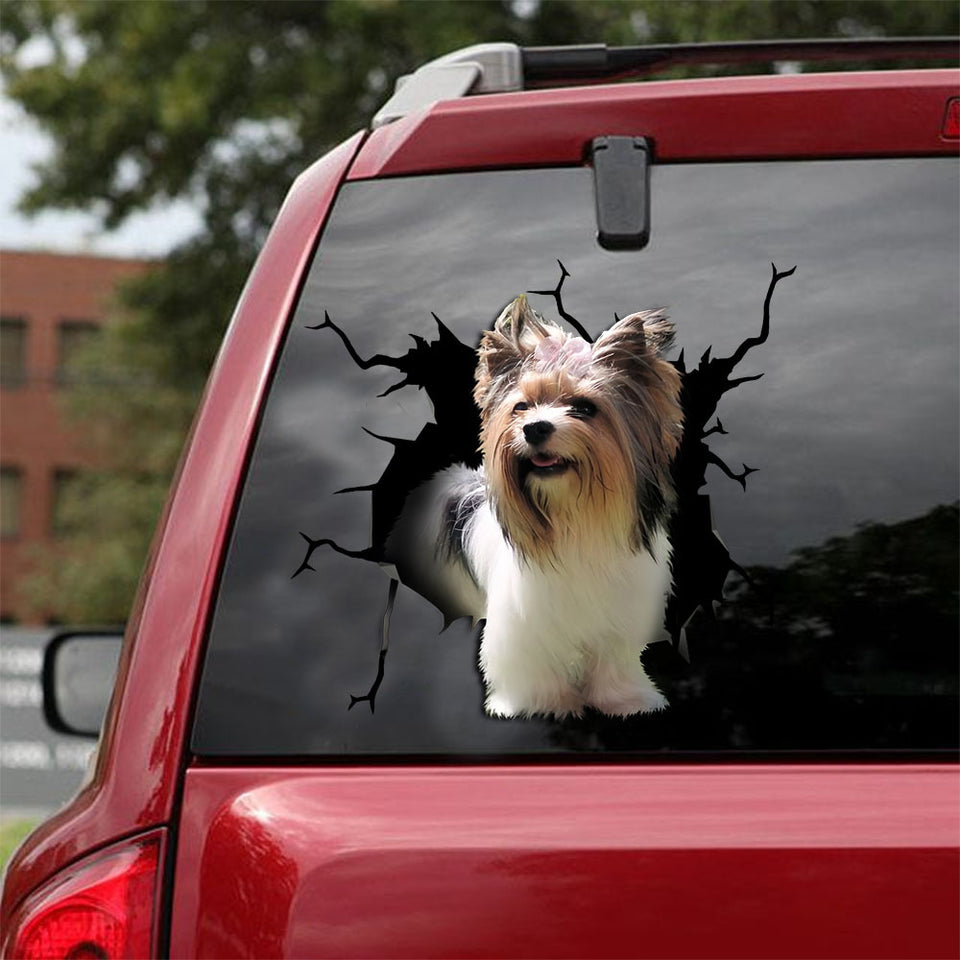 [ld0284-snf-lad]-biewer-terrier-crack-car-sticker-dogs-lover