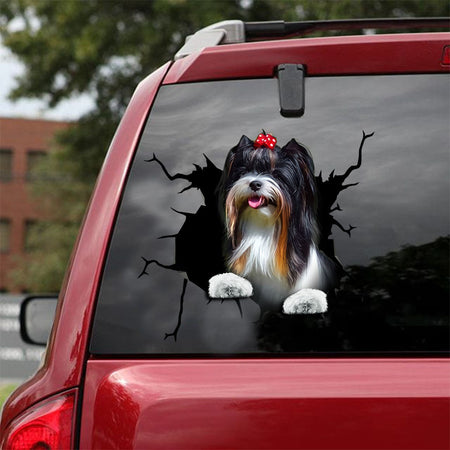 [ld0285-snf-lad]-biewer-terrier-crack-car-sticker-dogs-lover