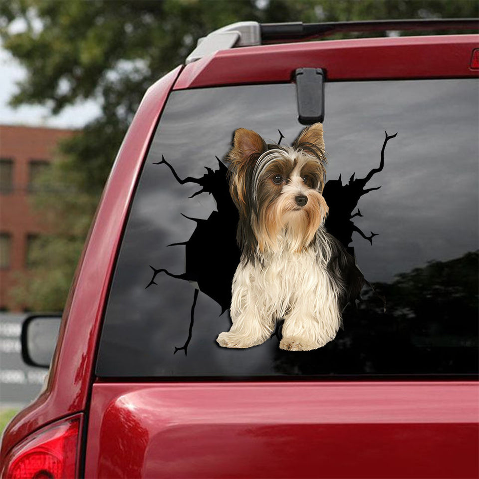 [ld0286-snf-lad]-biewer-terrier-crack-car-sticker-dogs-lover