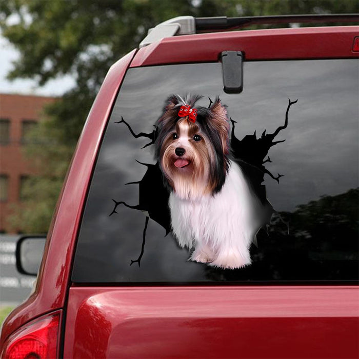 [ld0287-snf-lad]-biewer-terrier-crack-car-sticker-dogs-lover