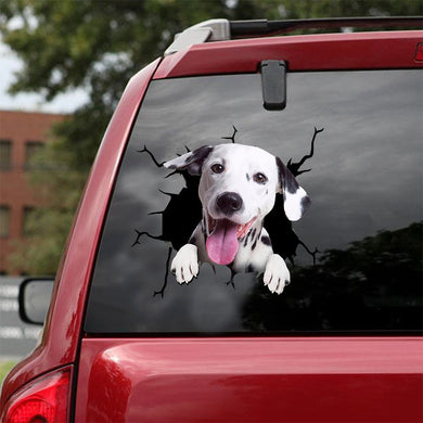 [ld0458-snf-lad]-dalmatian-crack-car-sticker-dogs-lover