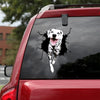 [ld0459-snf-lad]-dalmatian-crack-car-sticker-dogs-lover