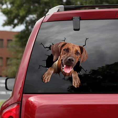 [ld0512-snf-lad]-rhodesian-ridgeback-crack-car-sticker-dogs-lover