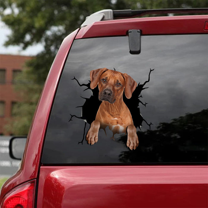 [ld0514-snf-lad]-rhodesian-ridgeback-crack-car-sticker-dogs-lover