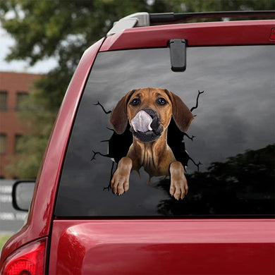 [ld0516-snf-lad]-rhodesian-ridgeback-crack-car-sticker-dogs-lover
