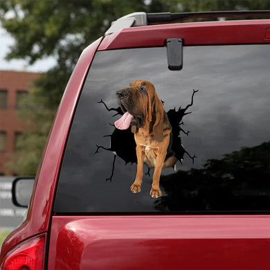 [ld0505-snf-lad]-bloodhound-crack-car-sticker-dogs-lover