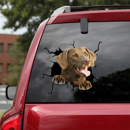 [ld0524-snf-lad]-chesapeake-bay-retriever-crack-car-sticker-dogs-lover