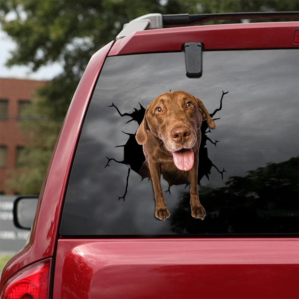 [ld0525-snf-lad]-chesapeake-bay-retriever-crack-car-sticker-dogs-lover