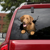 [ld0526-snf-lad]-chesapeake-bay-retriever-crack-car-sticker-dogs-lover