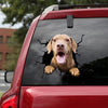 [ld0527-snf-lad]-chesapeake-bay-retriever-crack-car-sticker-dogs-lover