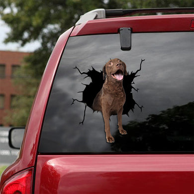[ld0528-snf-lad]-chesapeake-bay-retriever-crack-car-sticker-dogs-lover