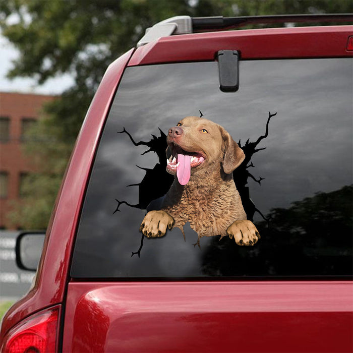 [ld0529-snf-lad]-chesapeake-bay-retriever-crack-car-sticker-dogs-lover