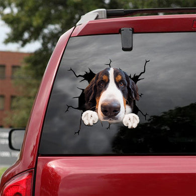 [ld1596-snf-lad]-bernese-mountain-dogs-crack-car-sticker-dogs-lover