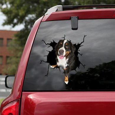 [ld1598-snf-lad]-bernese-mountain-dogs-crack-car-sticker-dogs-lover