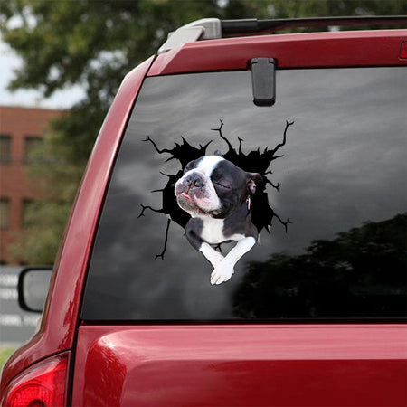 [ld1504-snf-lad]-boston-terriers-crack-car-sticker-dogs-lover