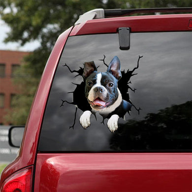 [ld1505-snf-lad]-boston-terriers-crack-car-sticker-dogs-lover