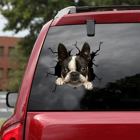 [ld1506-snf-lad]-boston-terriers-crack-car-sticker-dogs-lover