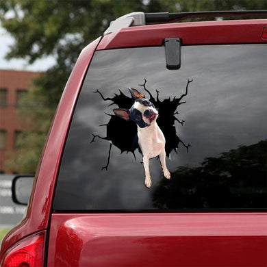 [ld1507-snf-lad]-boston-terriers-crack-car-sticker-dogs-lover