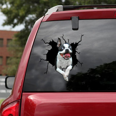 [ld1508-snf-lad]-boston-terriers-crack-car-sticker-dogs-lover