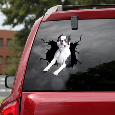 [ld1509-snf-lad]-boston-terriers-crack-car-sticker-dogs-lover