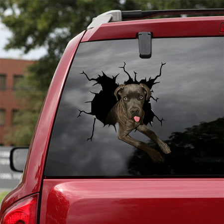 [ld1542-snf-lad]--cane-corso-crack-car-sticker-dogs-lover