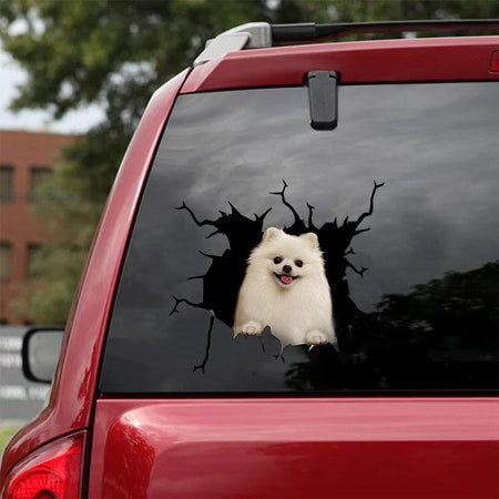 [sk0471-snf-tnt] Funny Pomeranian Crack Car Sticker animals lover - Camellia Print