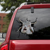 [sk1516-snf-tpa]-angora-goat-crack-sticker-cattle-lover