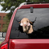 [sk1517-snf-tpa]-angora-goat-crack-sticker-cattle-lover