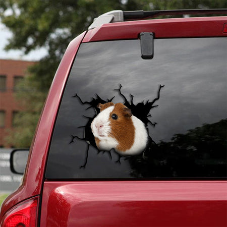 [th0165-snf-tpa]-guinea-pig-crack-car-sticker-
