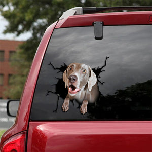 [th0177-snf-tpa]-weimaraner-sticker-crack-car-sticker-dogs-lover
