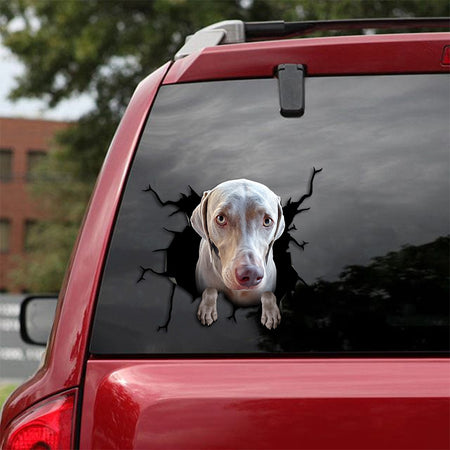 [th0180-snf-tpa]-weimaraner-sticker-crack-car-sticker-dogs-lover