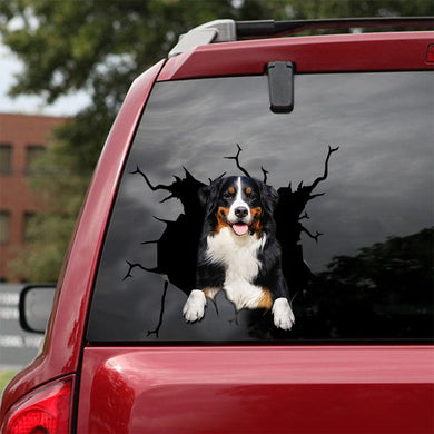 Funny Bernese Mountain Crack Sticker For Car Kawaii Water Bottle Labels Funny Gifts For Men