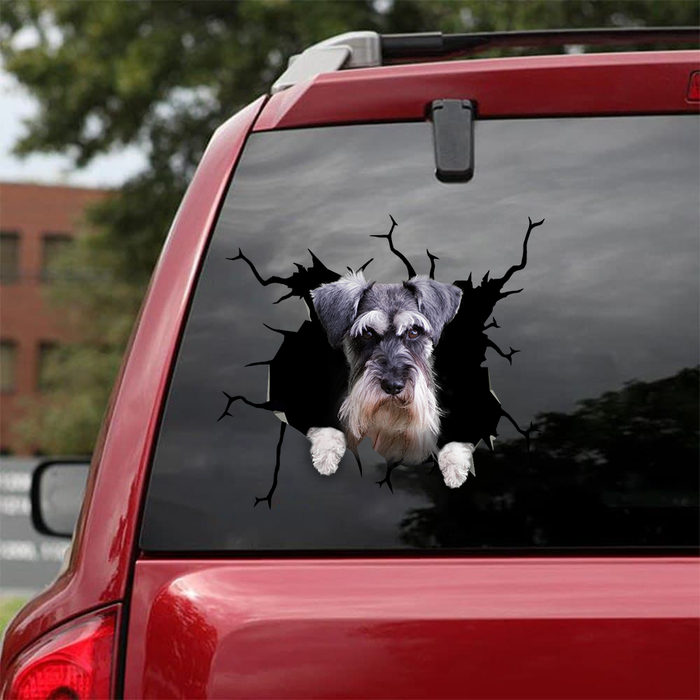 [sk0462-snf-tnt] Grumpy Giant Schnauzer Car Sticker dogs Lover - Camellia Print