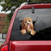 [ld0519-snf-lad]-cavapoo-crack-car-sticker-dogs-lover
