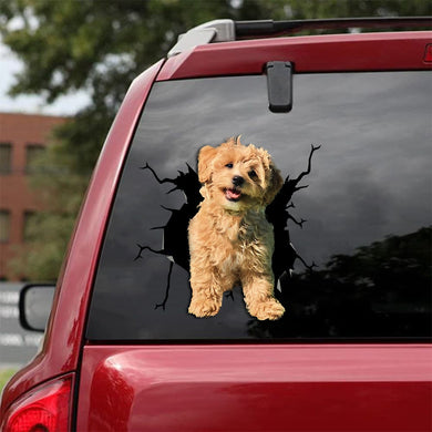 [ld0520-snf-lad]-cavapoo-crack-car-sticker-dogs-lover